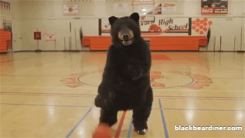 BlackBearDiner giphyupload basketball bear hoops GIF