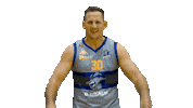 Lets Go Yes Sticker by Sheffield Sharks