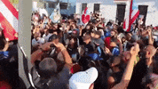 news puerto rico bad bunny protests residente GIF