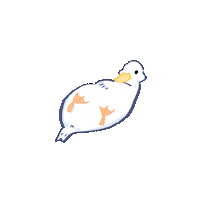 Sticker Duck Sticker