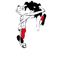 Hockey Sporting Sticker by SHCCalais