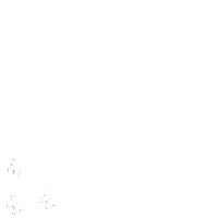 Butterfly Sticker