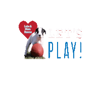 Letsplay Sticker by LabsAndMore