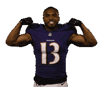 Football Nfl Sticker by Baltimore Ravens