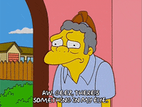episode 17 GIF