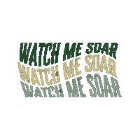 Eagles Sticker by Plain Local Schools