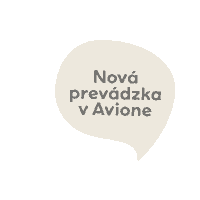 Assetavion Sticker by Avbrats
