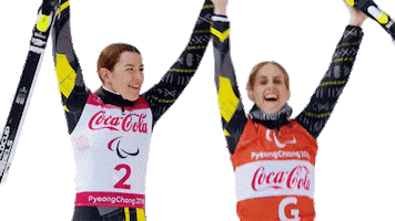 Celebrating Winter Olympics Sticker by International Paralympic Committee