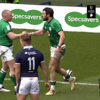 Irish Rugby GIF by Guinness Six Nations