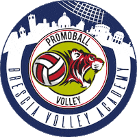 Volley Academy Sticker by PROMOBALL
