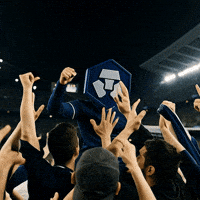 Football Celebrate GIF by Crypto.com