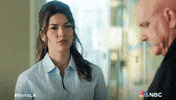 Episode 13 GIF by NBC