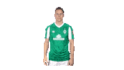 Niklas Moisander Bundesliga Sticker by SV Werder Bremen