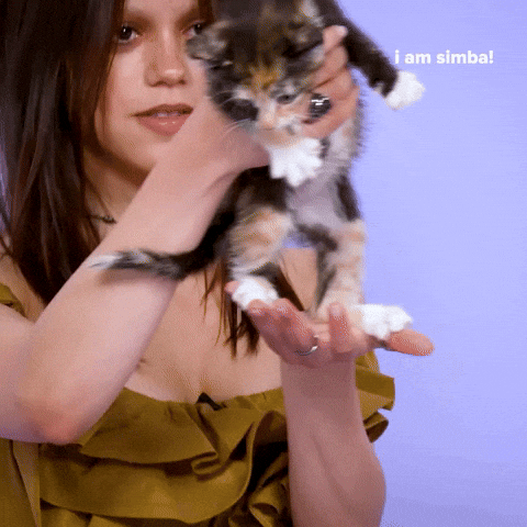 Jenna Ortega Cat GIF by BuzzFeed