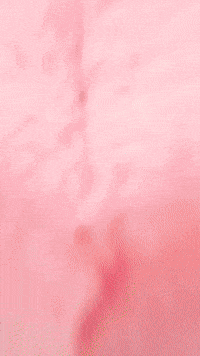 Sims GIF by Youtooz