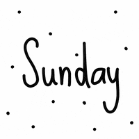 Sunday Pinotti GIF by scholzydesign