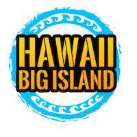 Au Pair Travel Sticker by Au Pair Adventures