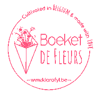 boeketdefleurs flowers ecofriendly bouquet fleurs Sticker