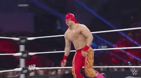the shield wrestling GIF by WWE
