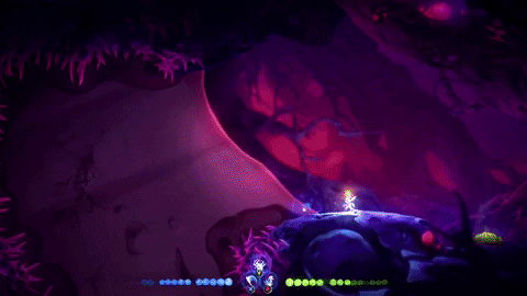 catpow3r giphygifmaker ori and the will of the wisps GIF
