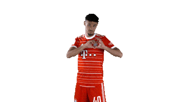 Noussair Mazraoui Love Sticker by FC Bayern Munich