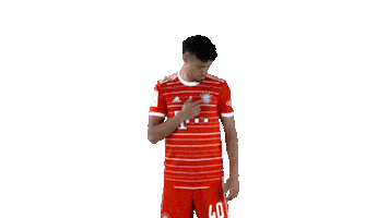 Noussair Mazraoui Football Sticker by FC Bayern Munich