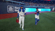 Walk Up Blue Jays GIF by Toronto Blue Jays