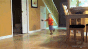 world's funniest fails GIF by Fox TV