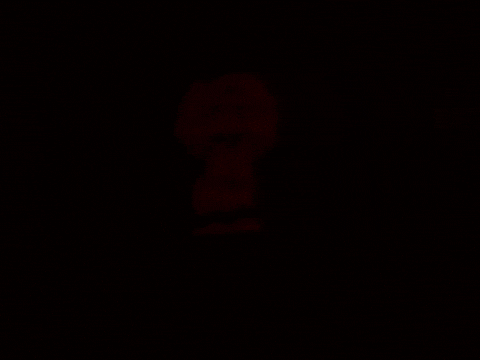 charlie brown GIF by Peanuts