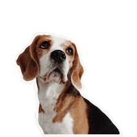 Dog Puppy Sticker