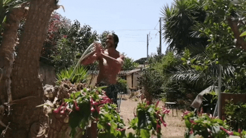 shupshup giphygifmaker lobo estepario GIF