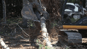Excavator Grading GIF by JC Property Professionals