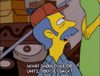 homer simpson GIF