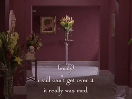 season 2 netflix GIF by Gilmore Girls 