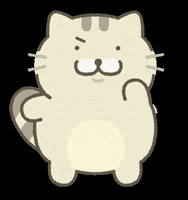 고양이 GIF
