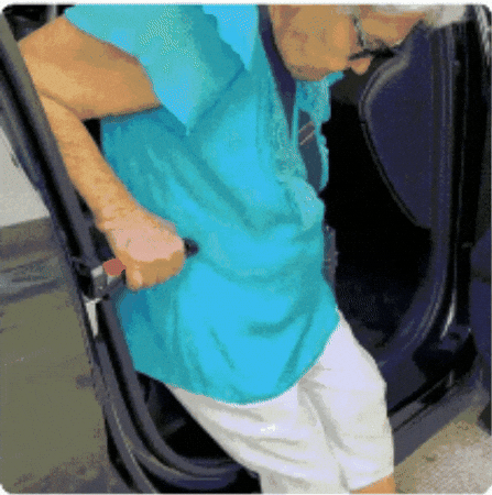 GIF Animado