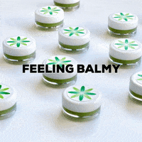 Lip Balm Skincare GIF by Formula Botanica