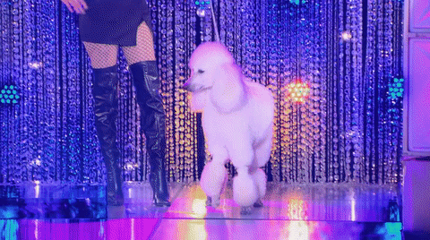 season 8 GIF by RuPaul's Drag Race