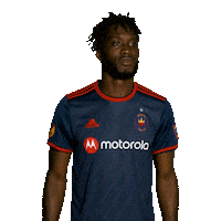 Chicago Fire Reaction Sticker by Chicago Fire Football Club