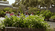 Mc15 GIF by MasterChefAU