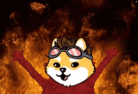 Elon GIF by Dogelon Mars