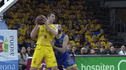 Liga Endesa Basketball GIF by ACB