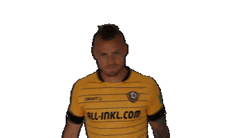 Bundesliga Hand Sticker by SG Dynamo Dresden