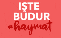 AY_YILDIZ liebe musik essen familie GIF
