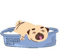 Sleepy Black Forest Sticker by Mittlerer Schwarzwald