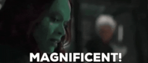 ahouston20 giphygifmaker GIF