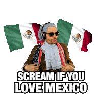 Viva Mexico Sticker