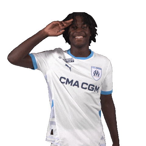 Ligue 1 Football Sticker by Olympique de Marseille