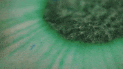 lush cosmetics bath GIF by Lush