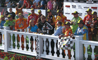Sport Racing GIF by NASCAR
